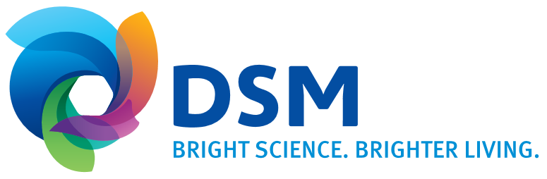 Logo Dsm